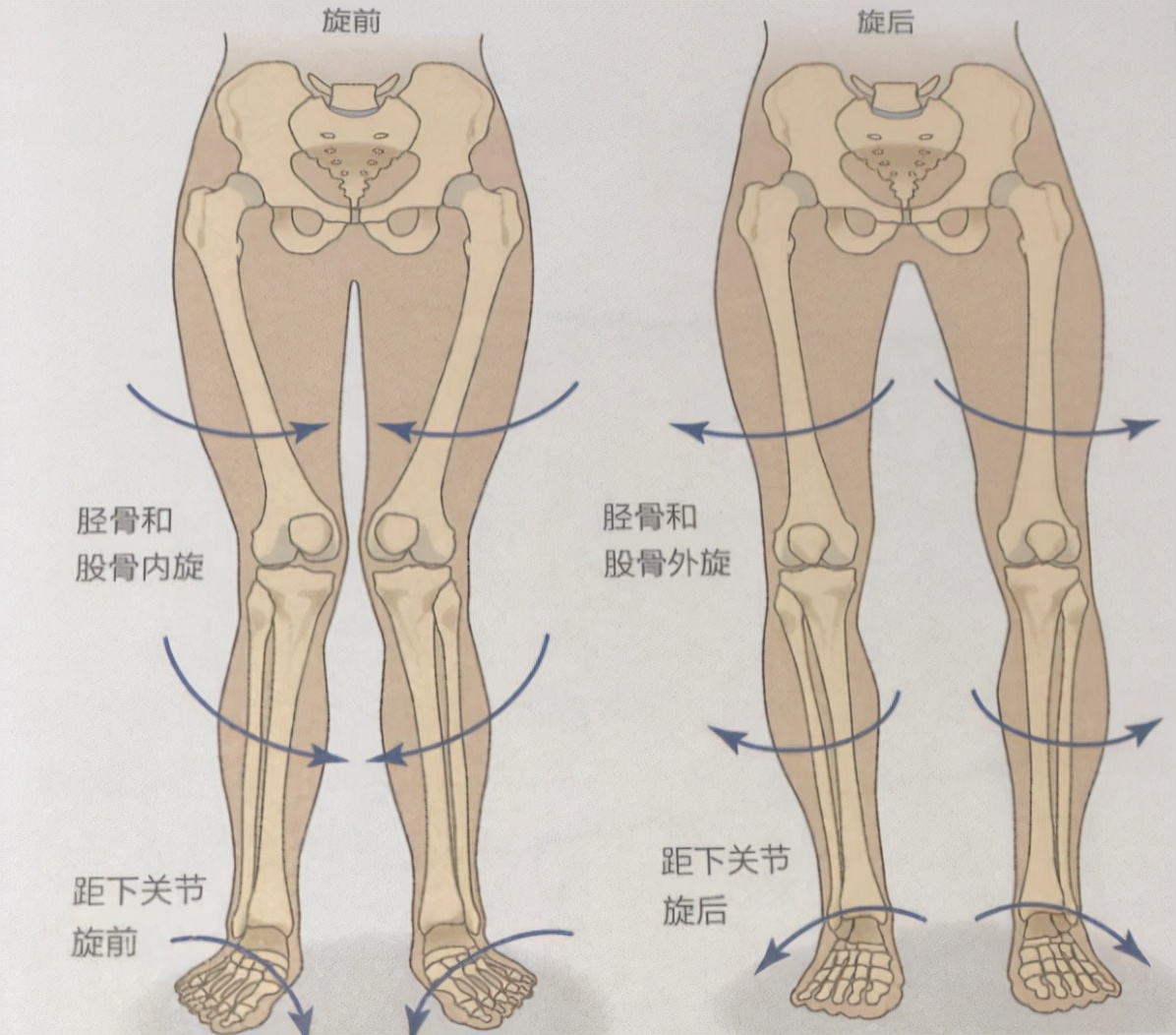 老年o型腿最快变直的方法,o型腿适合穿什么类型鞋