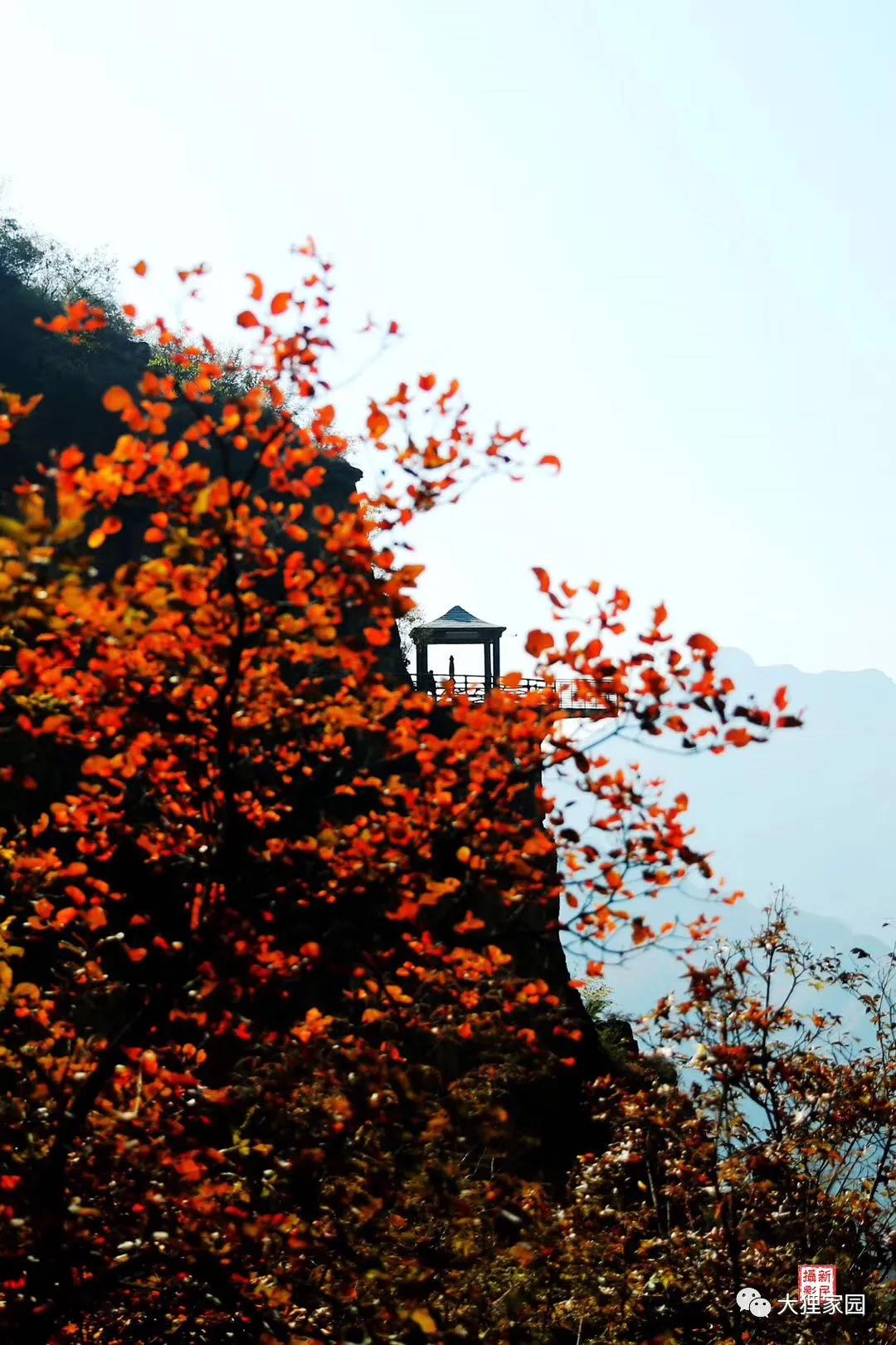 带娃的日子有滋有味,日子过得有滋有味广场舞