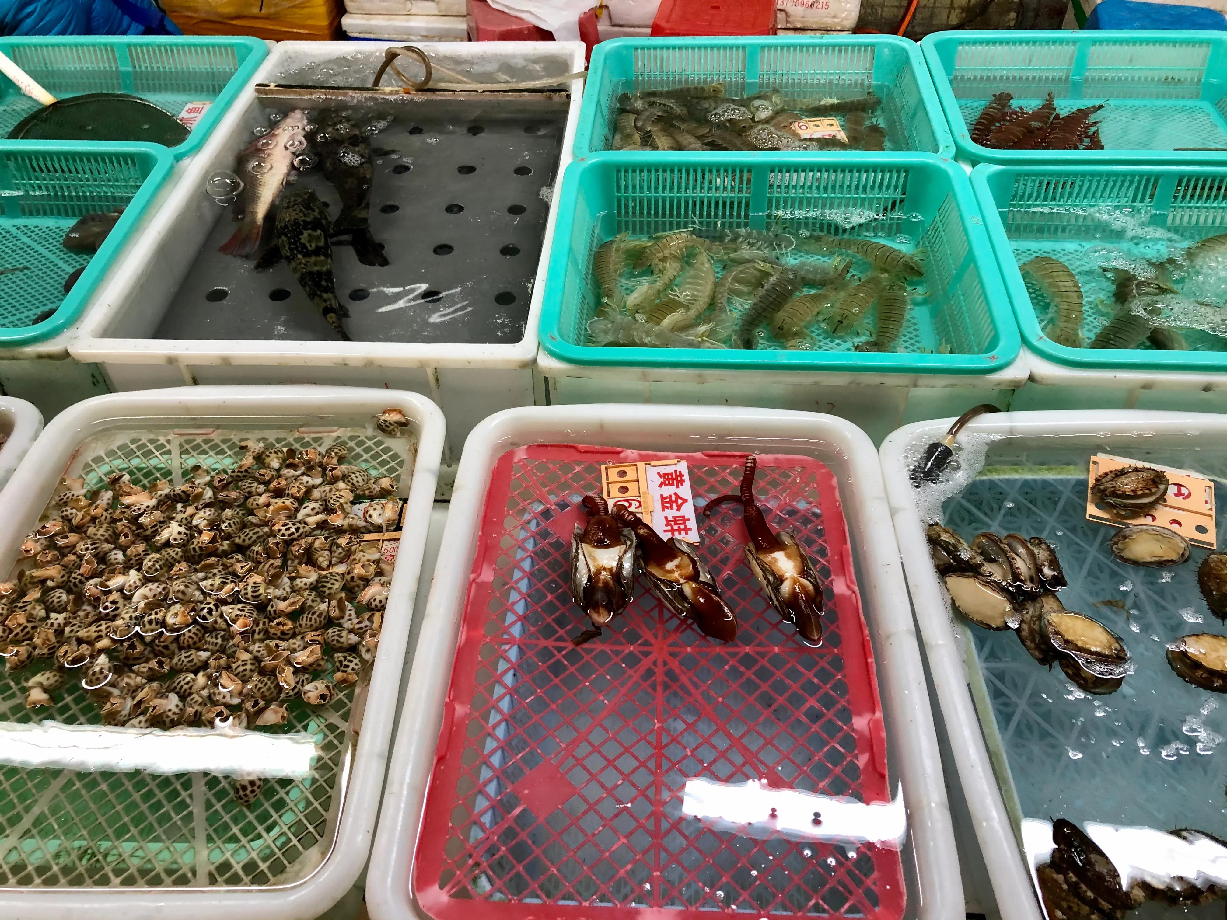 珠海湾仔码头海鲜市场价格,珠海湾仔海鲜街买海鲜攻略