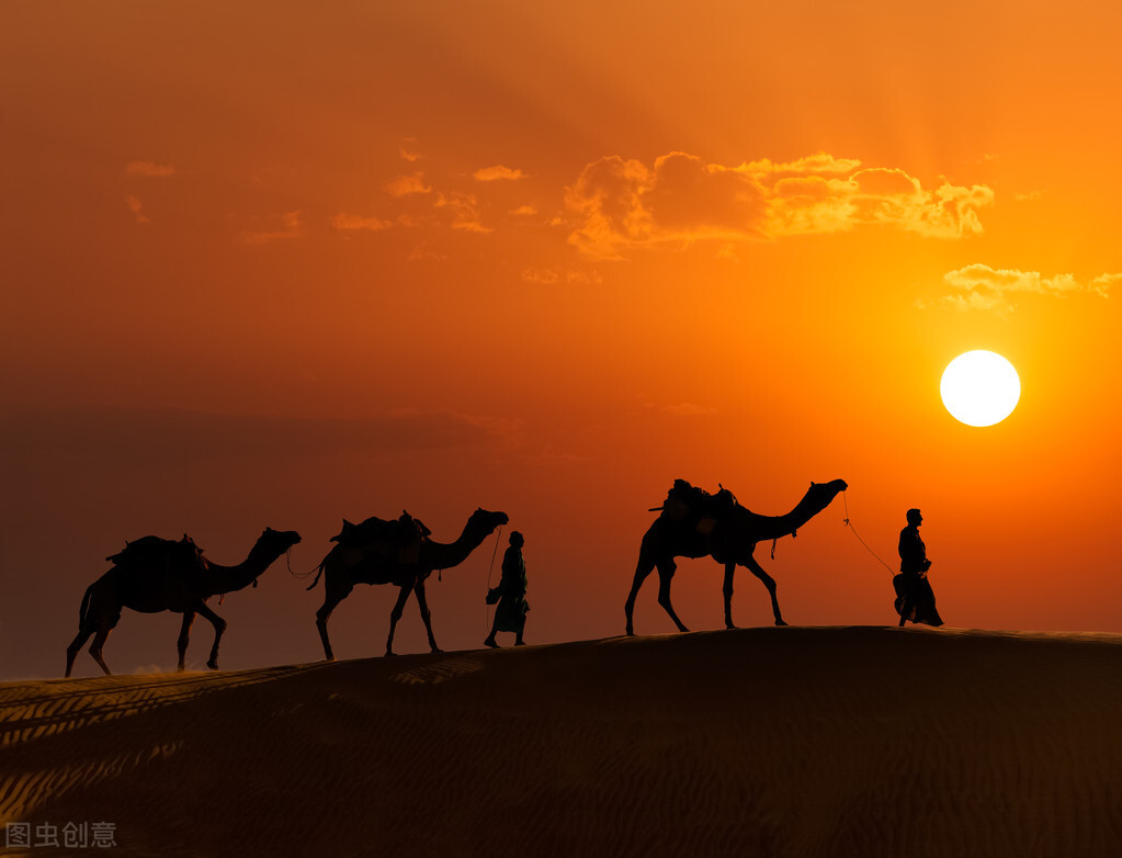 谈一谈骆驼奶粉 (你了解骆驼奶粉吗)