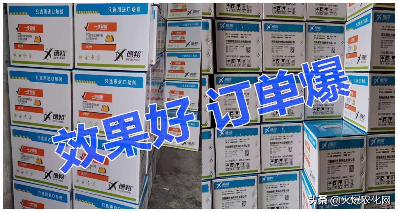 全面替代铜制剂！新一代“击溃爆品”！不伤花果！防治率高达96%