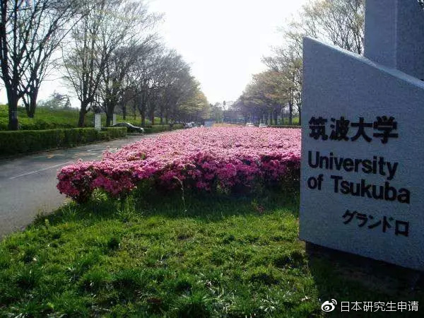 筑波大学回国就业现状,筑波大学arwu排名