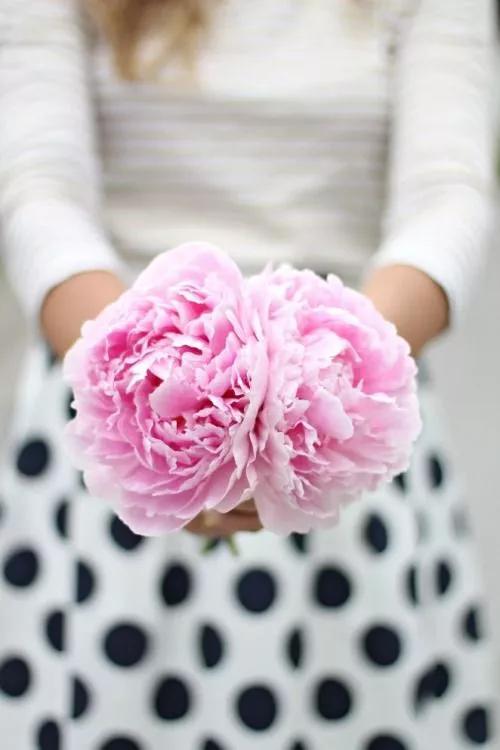 3.8女神节进入倒计时怎能缺少惊喜,3.8女神节最强攻略