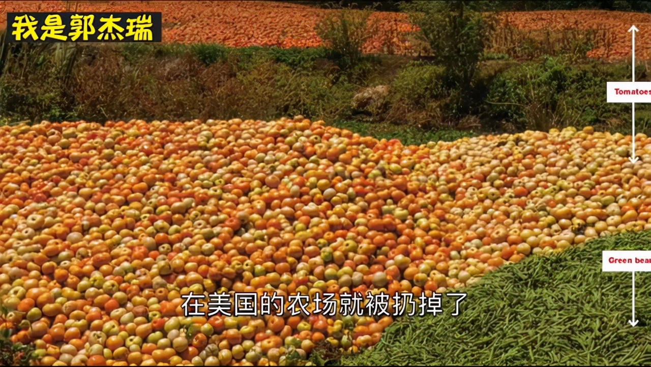 必须中国人来负责？西班牙最大潟湖污染：因为中国人爱吃猪肉