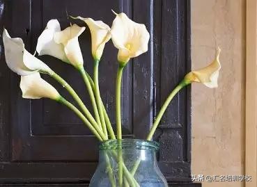 花艺十六种手法,流行花艺简单教学