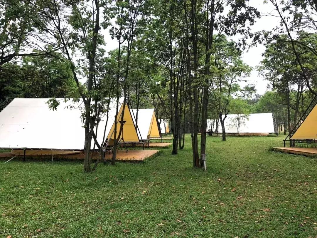 广州从化赛马会,广州从化站赛马会