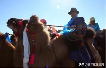 在内蒙古家里没几匹马和骆驼都不能愉快地玩耍了！