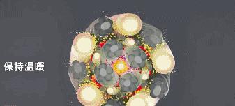 适合胸大显小的德绒背心,小蛮腰德绒背心