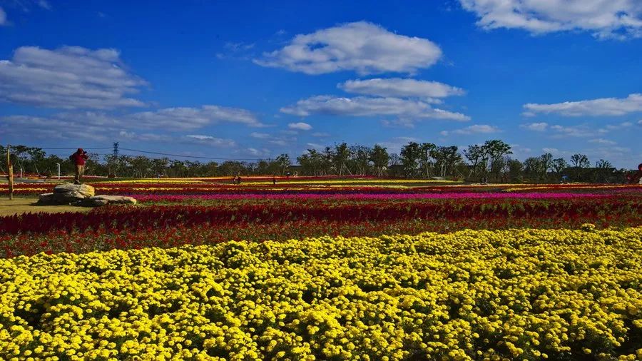 上海姓氏,上海姓氏人口排名