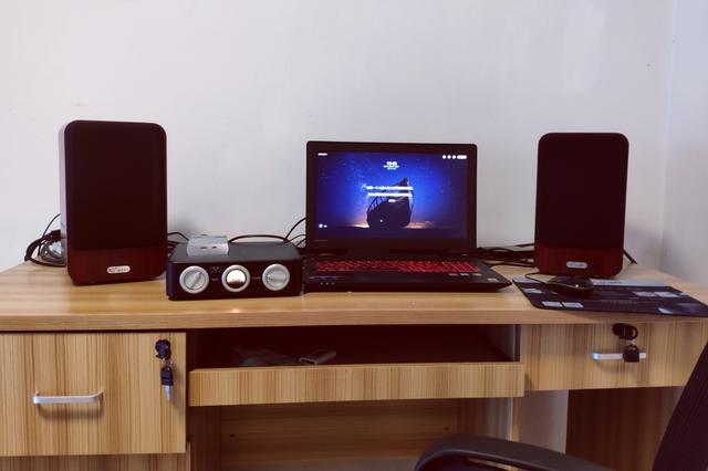 自然声ns16mkii,自然声ns16音箱