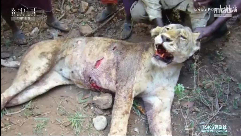 15岁怀孕，她被骗吃下*药炸**，一尸两命：有些人，这辈子不配为人