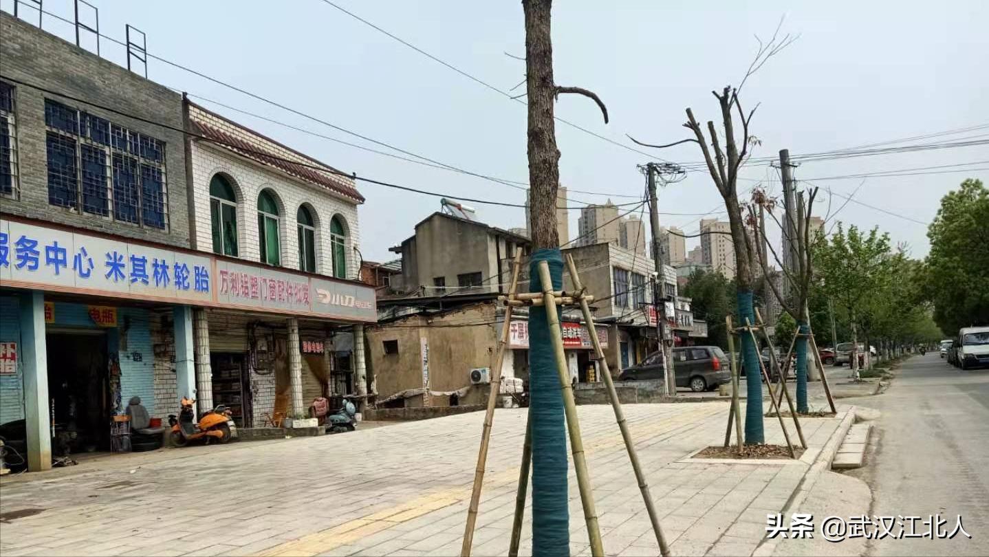 盘龙城体育公园规划,武汉盘龙城公园