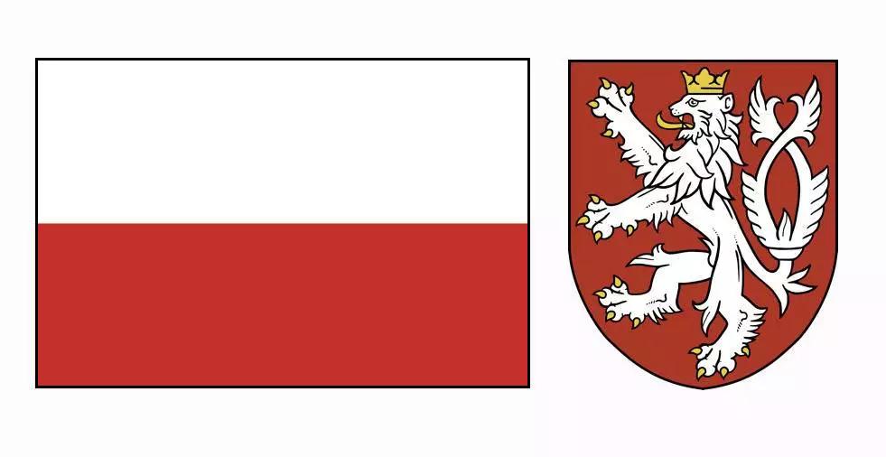 施华洛世奇花漾魔力寓意 (施华洛世奇的花样魔力)