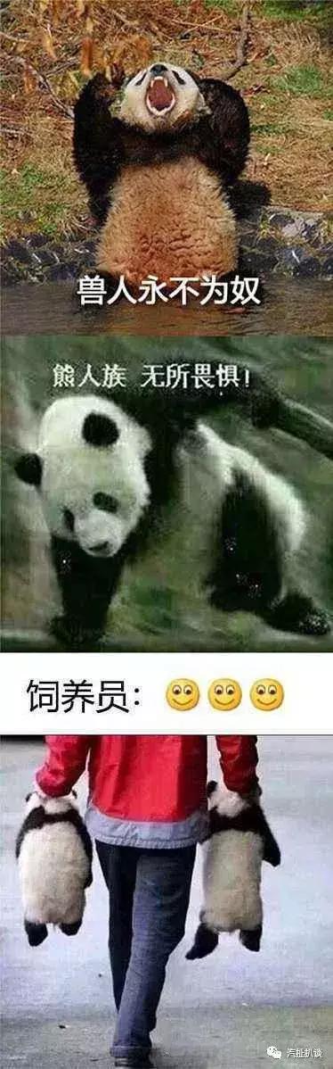 汽车电商未来如何走,汽车电商将进入新零售时代