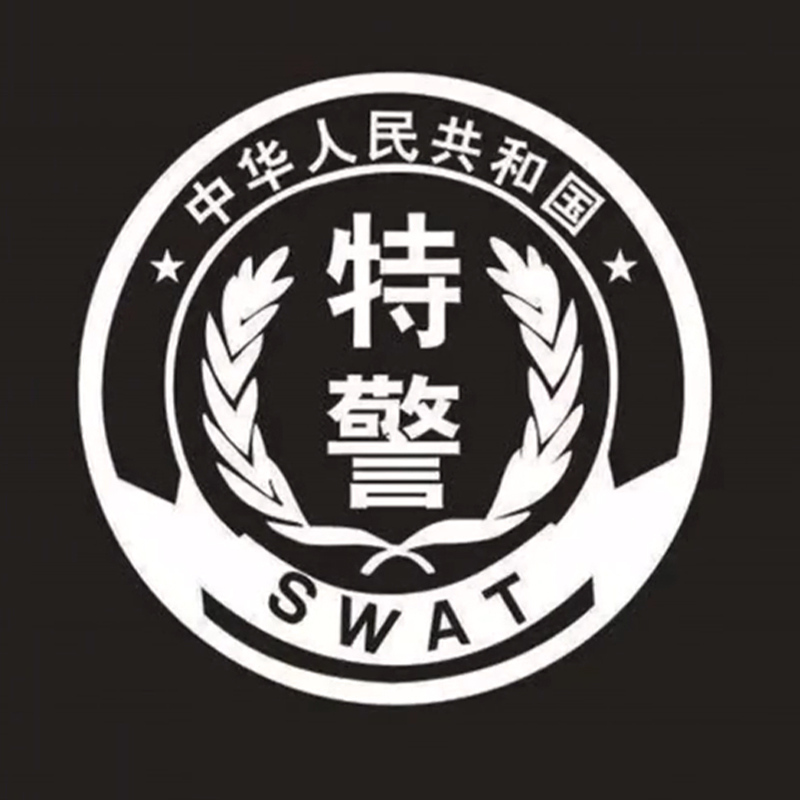 全国各个城市特警队臂章,公安特警帅图