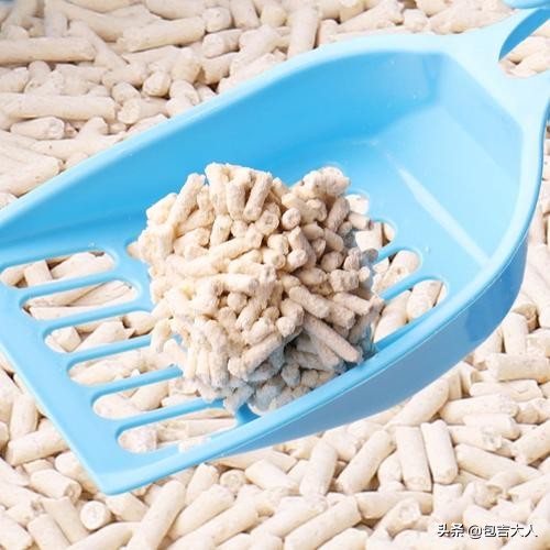 过来人告诉几种方式养猫省钱省心,养猫经验分享系列