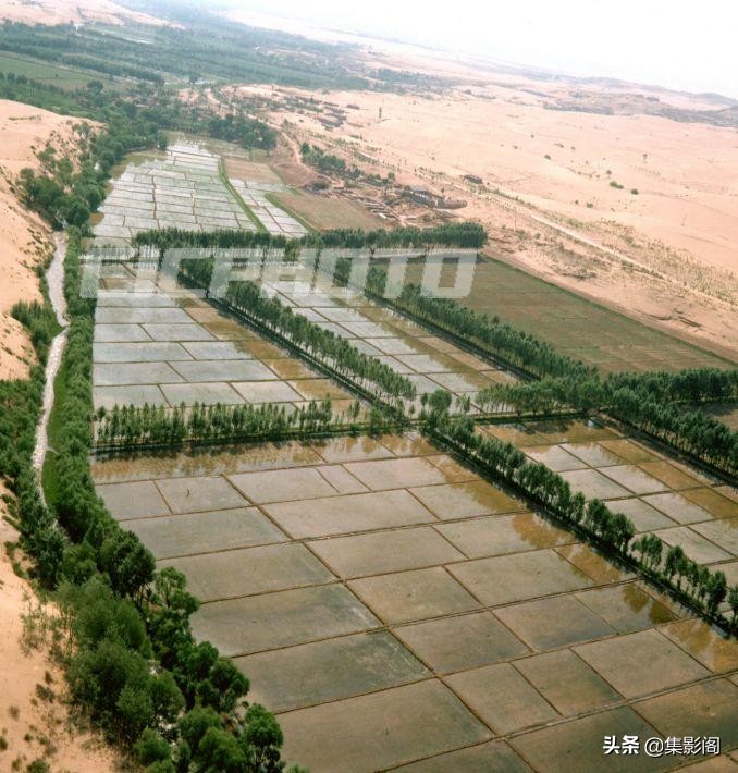 榆林市镇川镇老照片 (榆林市卫校老照片)