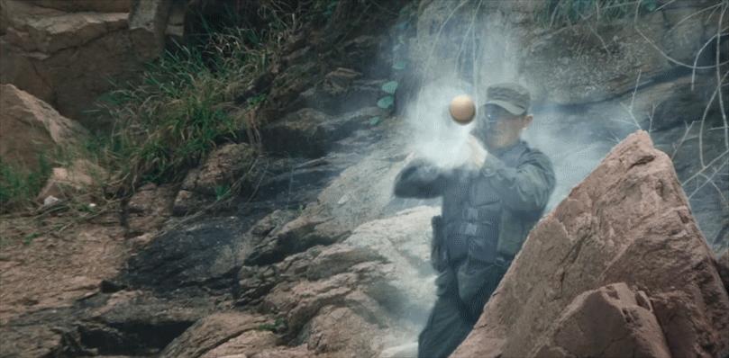 赵文卓和甄子丹矛盾的电影,赵文卓和甄子丹同演的电影