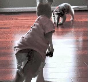 武学宗师陈鹤皋,疯癫的大师陈鹤皋