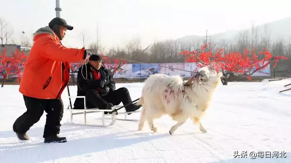 狼牙山滑雪场营业时间,狼牙山滑雪场正月十六开园吗