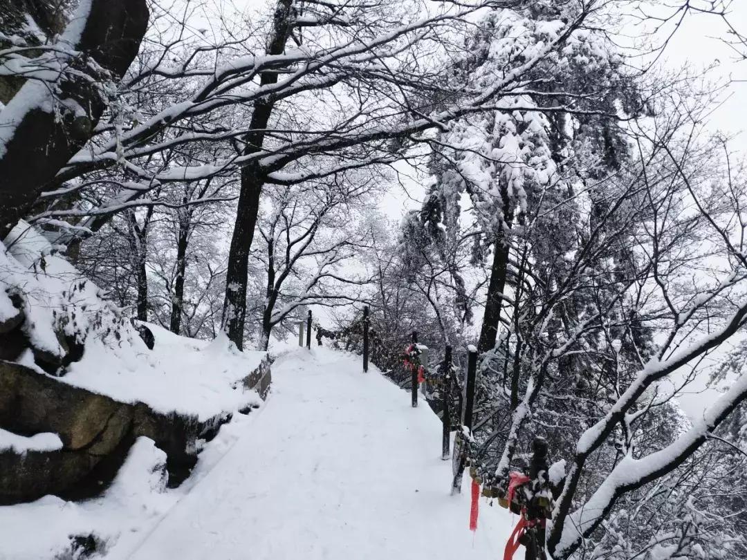 华山游记精选,华山游记风雪夜