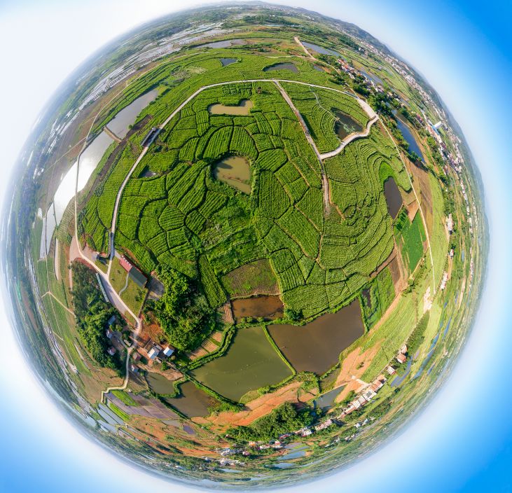 蕲春县太阳能光伏发电站,蕲春地面光伏哪里有