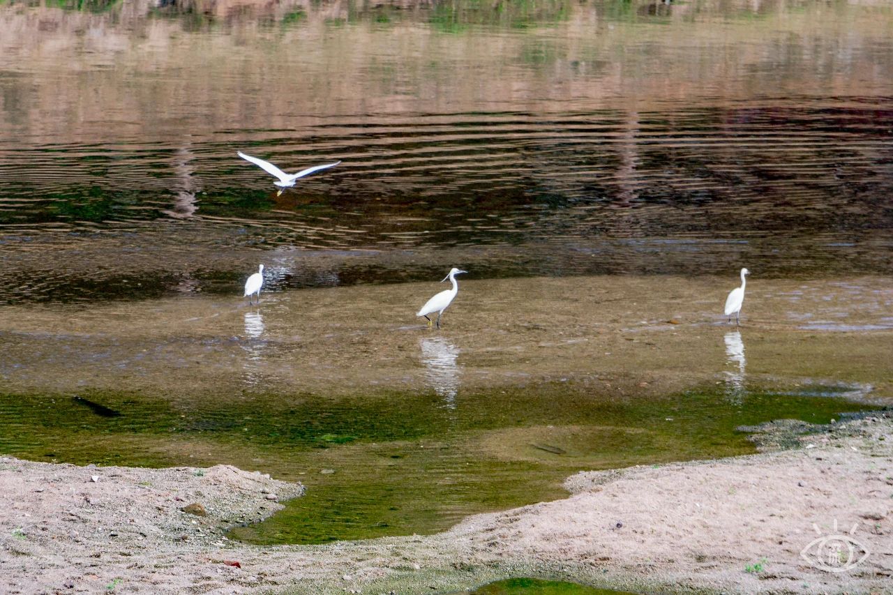 天下最美湖泊西湖,比西湖更美的湖泊