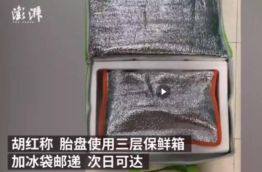 浜轰綋鑳庣洏淇℃伅,浜轰綋鑳庣洏鏄湡鐨勫悧