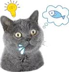 河坊街又卷烧饼,掌柜带你吃喝玩乐