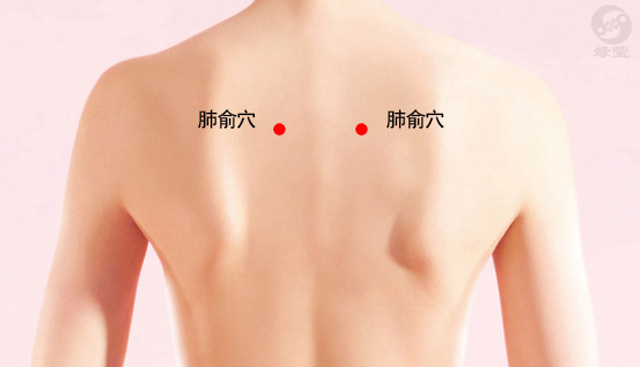 秋季养肺的穴位按摩方法,养肺护肝的艾灸穴位