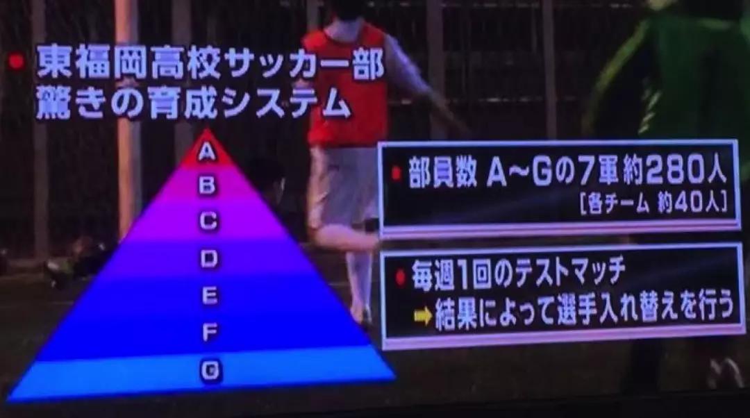 足球从娃娃抓起不再是一句口号,足球从娃娃抓起的前一句