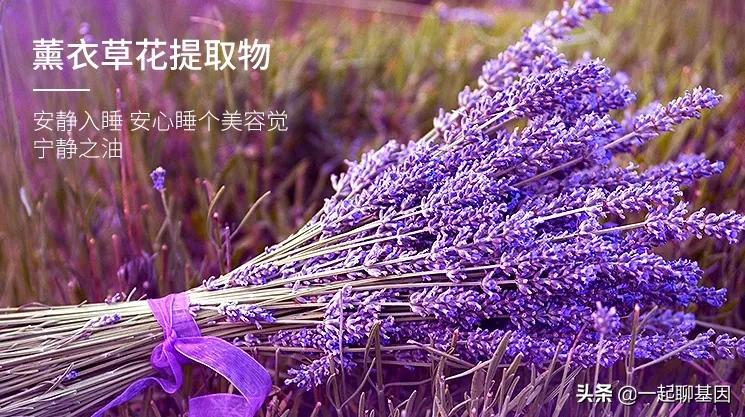 多梦调理助眠视频,失眠多梦怎么办教你一招