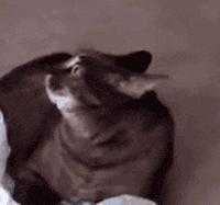 为什么运动完洗澡皮肤会痒,运动后洗热水澡后身上起红点点