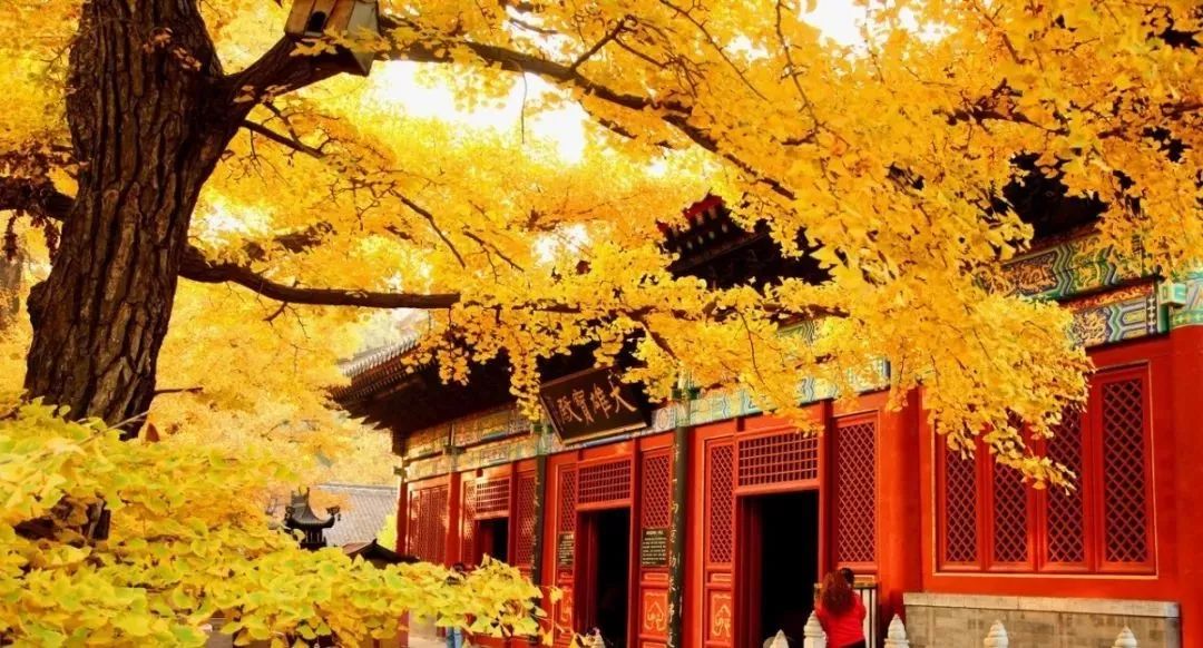 去北京不可错过的地方,不去热门景点游北京