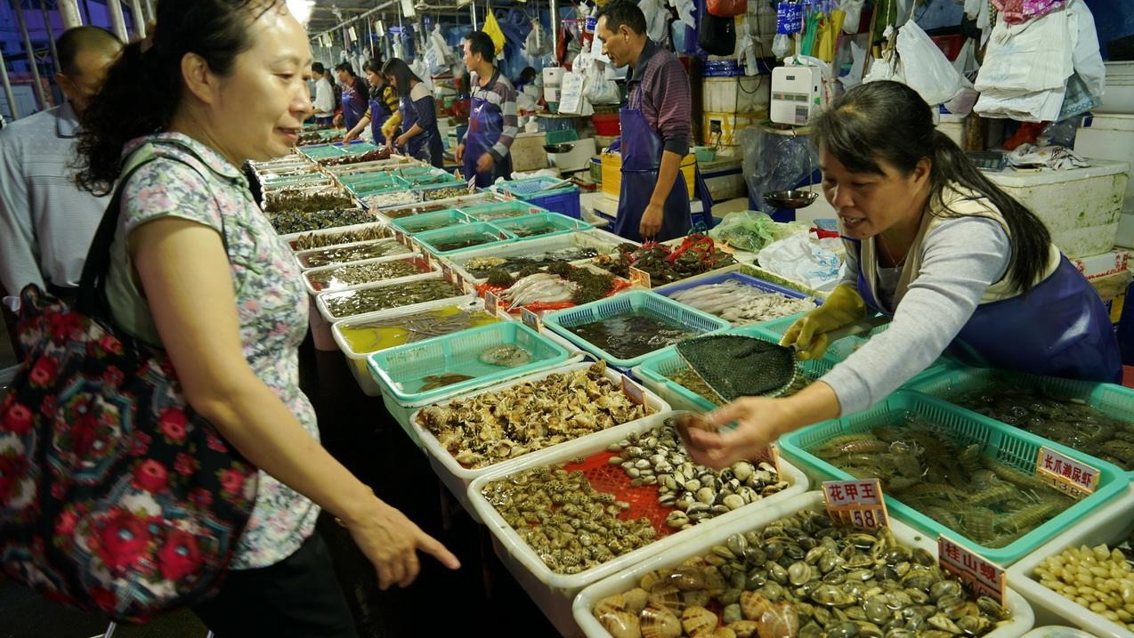 与澳门隔江相望,与澳门隔江相望的地方