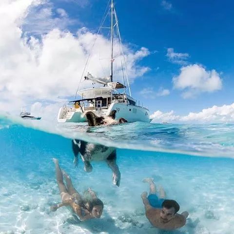 不再是土豪专利！游艇界的Booking.com风靡年轻一代