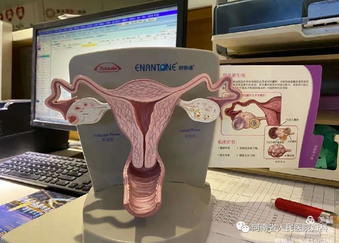 学无止境，医路同行_在河南省人民医院妇科一病区实习的日子