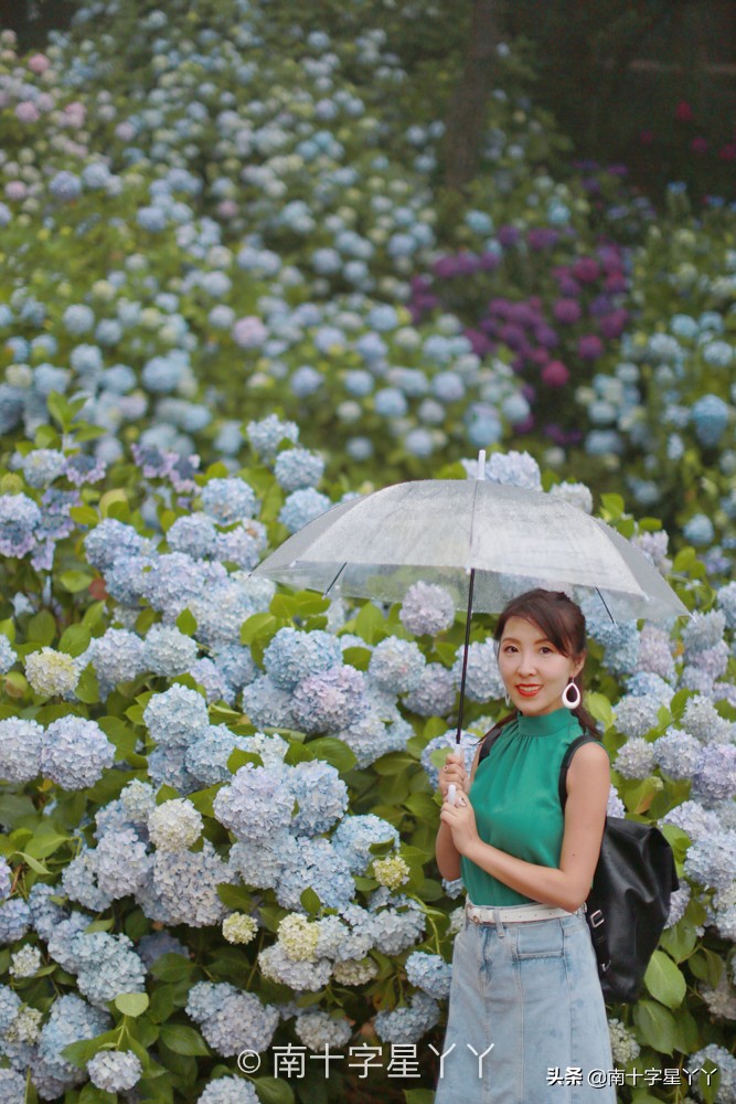 好看的韩剧推荐釜山行,釜山推荐景点打卡攻略图