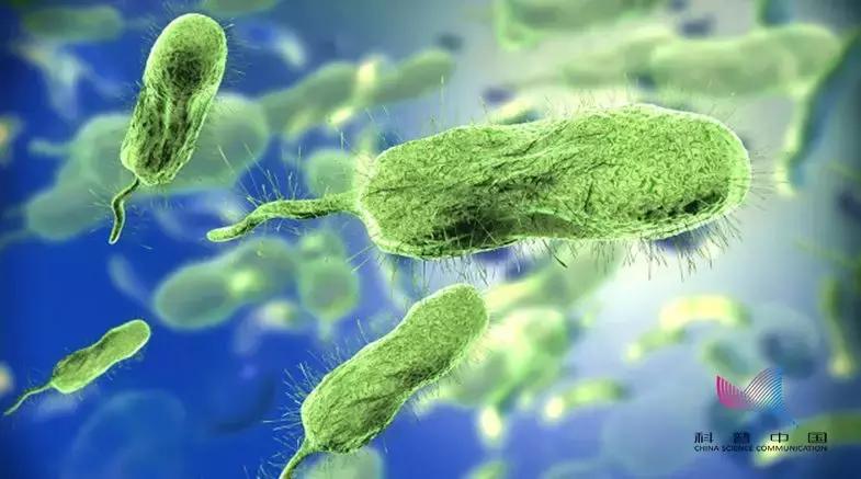 男子被虾夺命进icu,一只虾夺命男子进icu去世3天