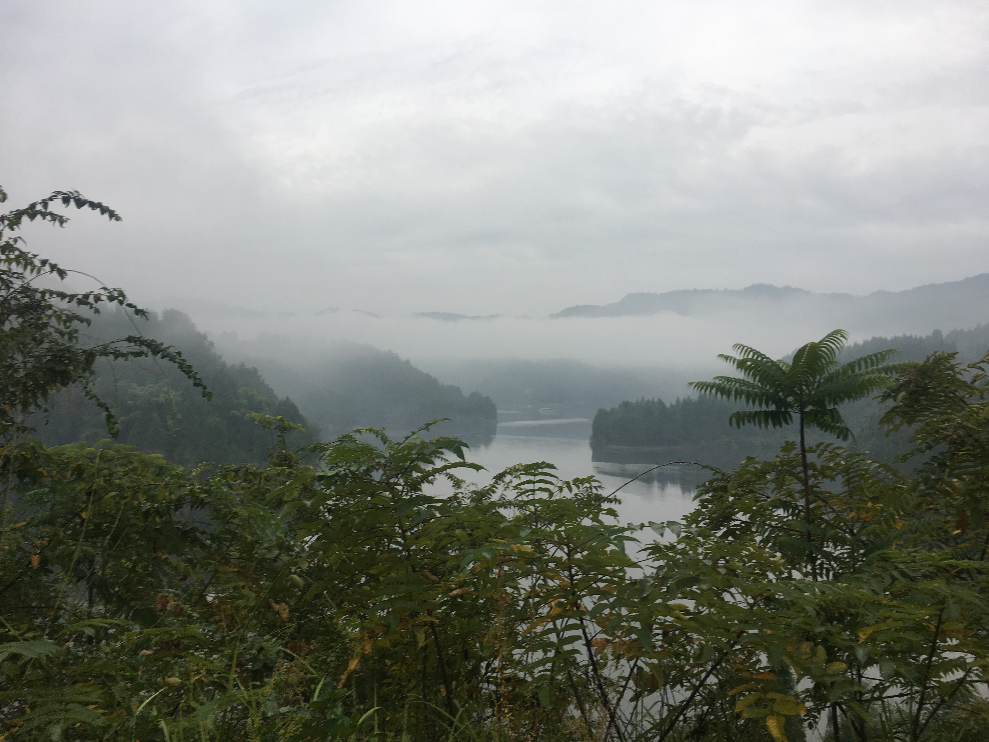 将设施渔业与乡村振兴结合,乡村振兴渔业经济数据对比图