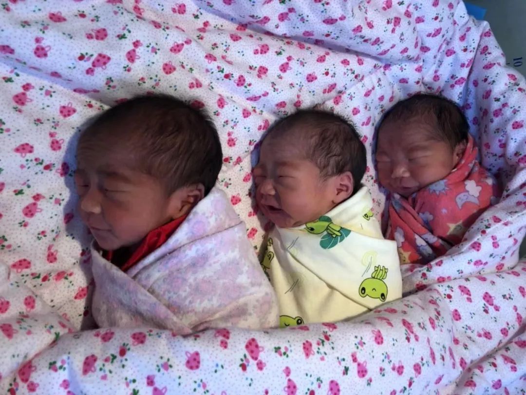 医生直接在医院生下三胞胎,三胞胎顺产惨剧