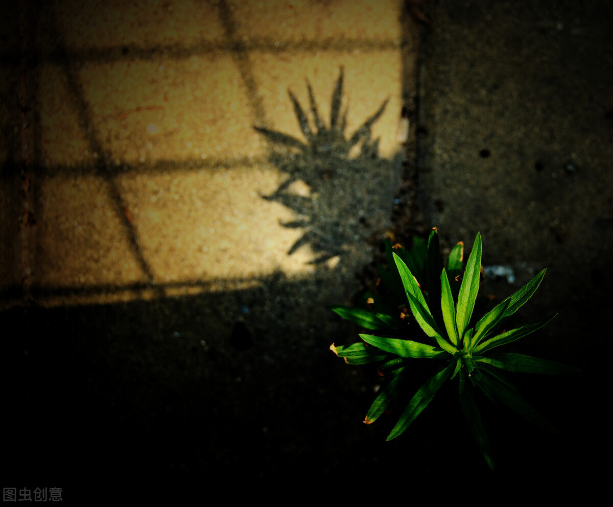 被欺凌,被霸凌,遭受*害迫**,难道这就是“我们”的命运吗?