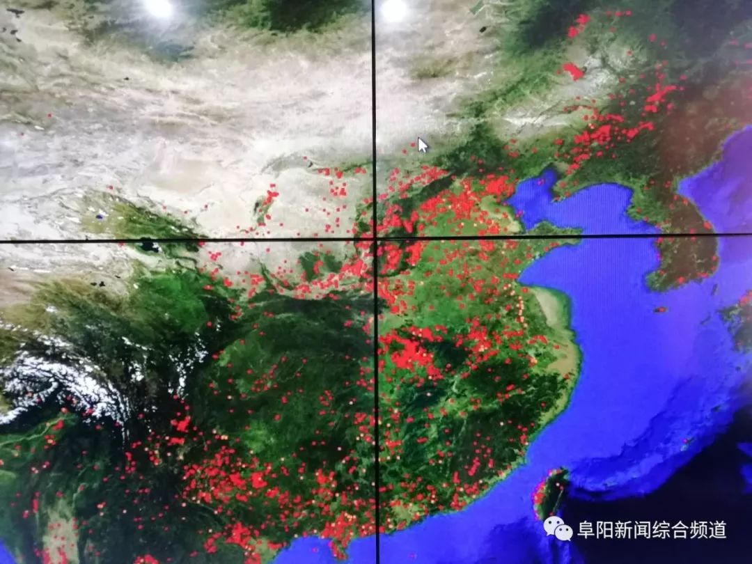 阜阳硬核,硬核租房