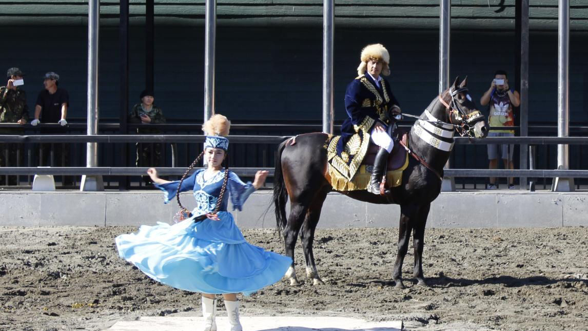 骏马训练方法视频,骏马的训练