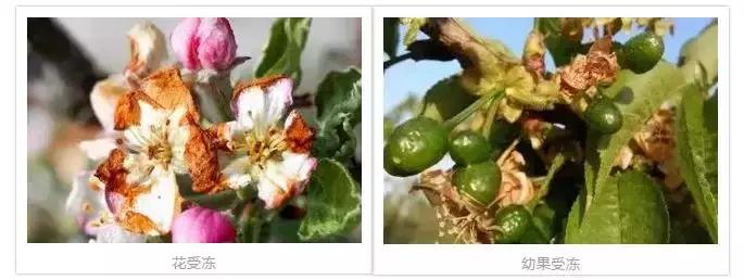 寒潮来袭你准备好了吗文案,倒春寒你冷吗