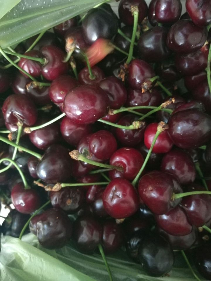 塔吉克斯坦原先是中国的地方吗,塔吉克斯坦的真实生活