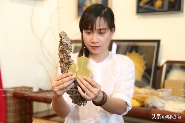 越南那些事,越南那些事完整版