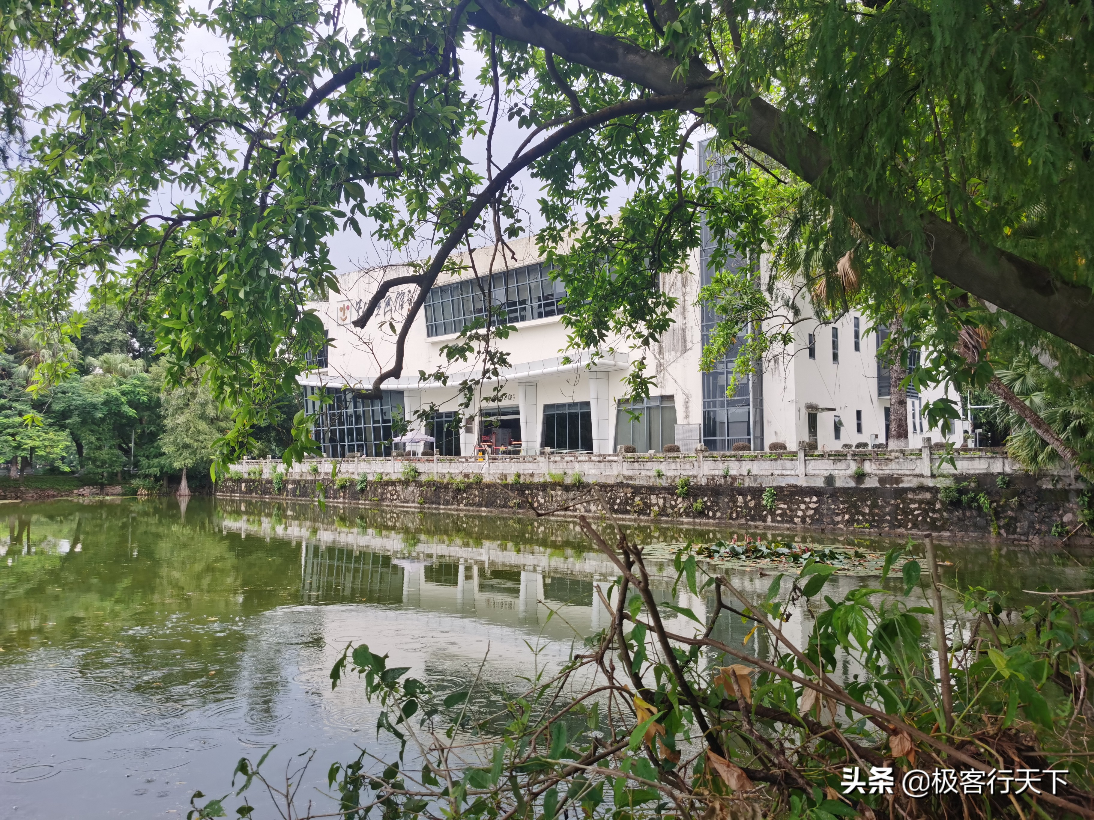 中山逸仙湖公园晚景,逸仙湖公园老照片