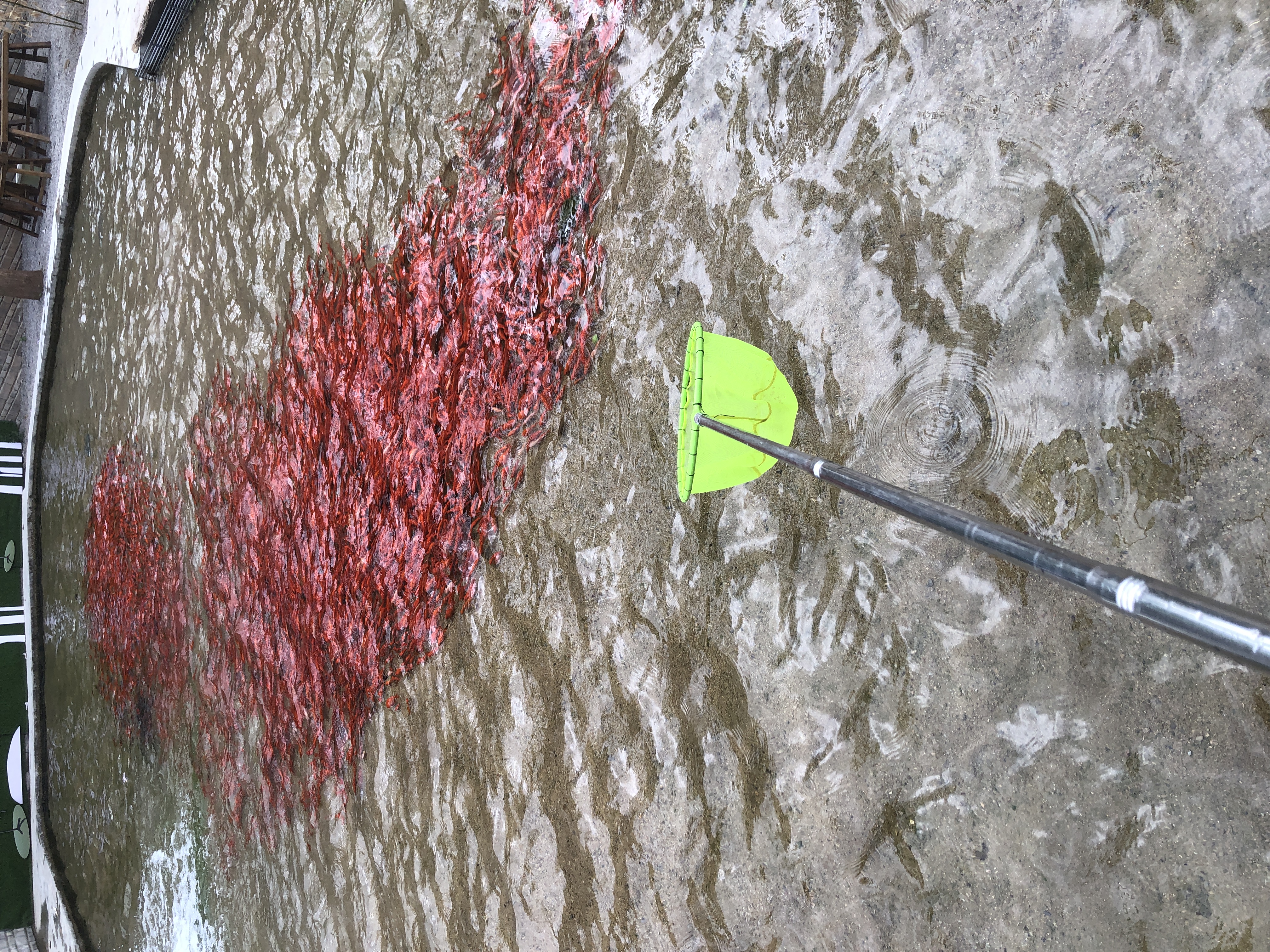 博山开元溶洞一日游,博山开元溶洞门票多少钱一个人