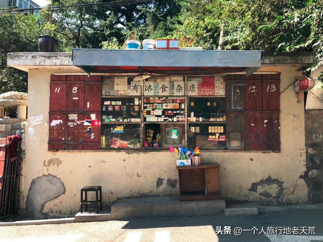 北方这座海滨老城，樱花不输日本，浪漫更胜巴黎